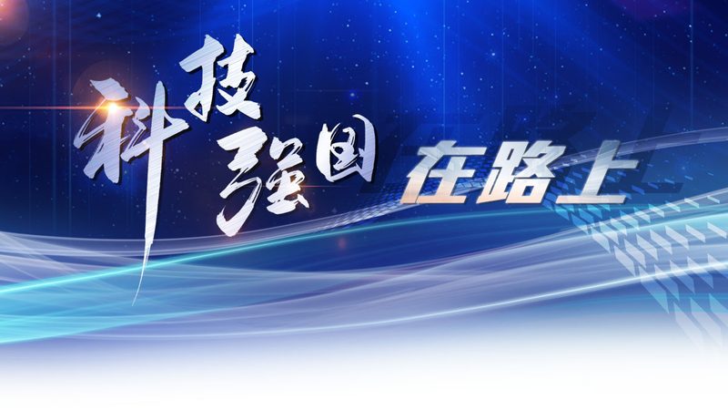 数字化解决方案：揭秘企业转型背后的实施安装流程